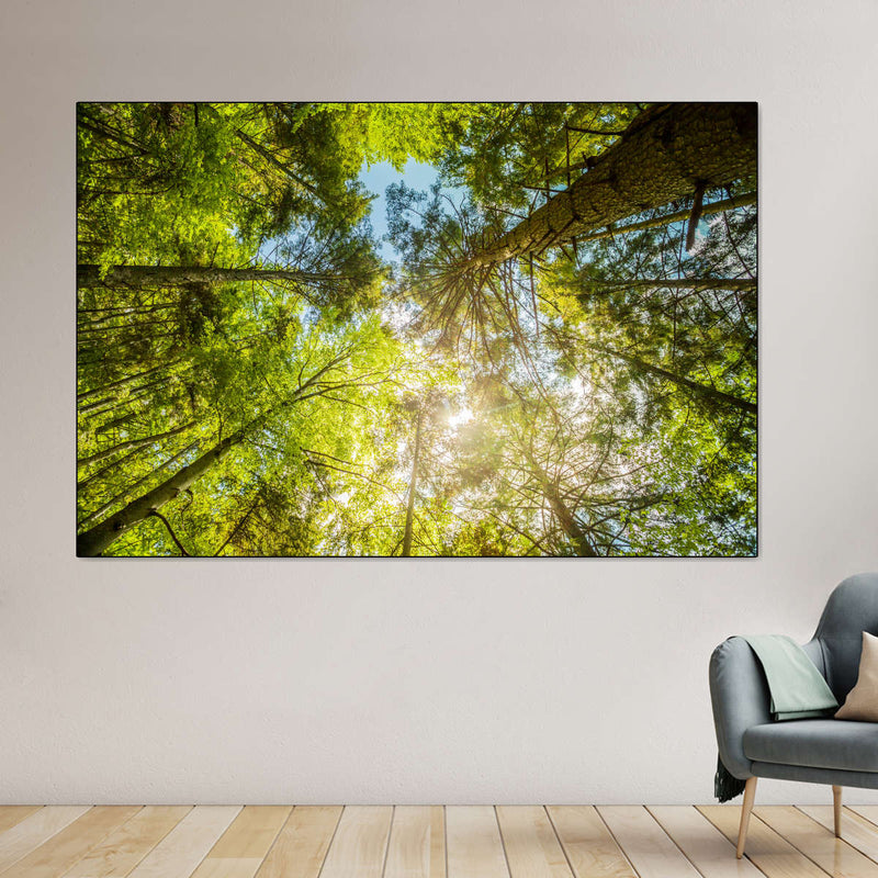 Tree Top Wall Art