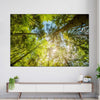 Tree Top Wall Art