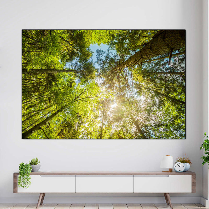 Tree Top Wall Art