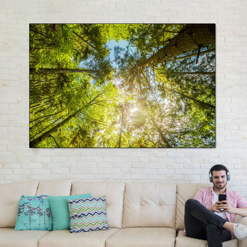 Tree Top Wall Art