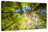 Tree Top Wall Art