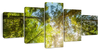 Tree Top Wall Art