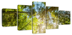 Tree Top Wall Art