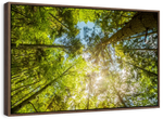 Tree Top Wall Art