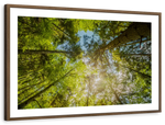 Tree Top Wall Art