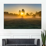 Misty Meadow At Sunrise Wall Art