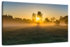 Misty Meadow At Sunrise Wall Art