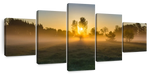 Misty Meadow At Sunrise Wall Art