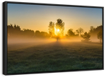 Misty Meadow At Sunrise Wall Art