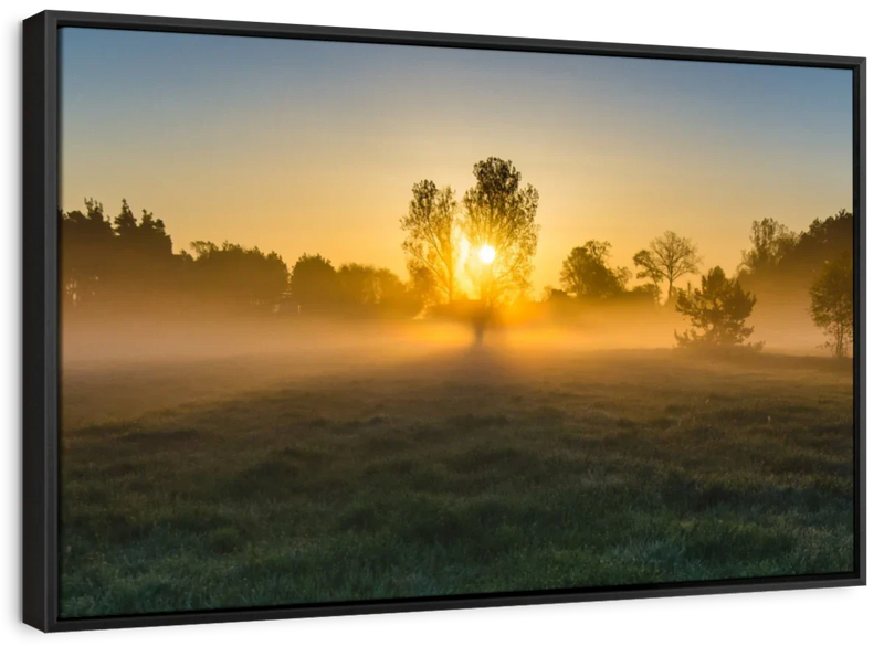 Misty Meadow At Sunrise Wall Art
