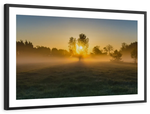 Misty Meadow At Sunrise Wall Art
