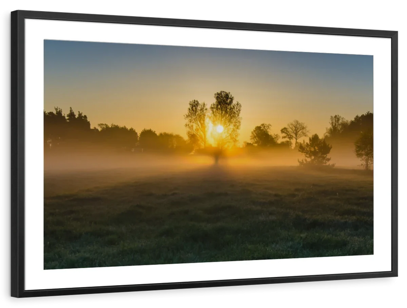 Misty Meadow At Sunrise Wall Art