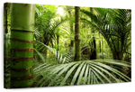 Into The Jungle Wall Art