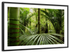 Into The Jungle Wall Art