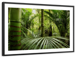 Into The Jungle Wall Art
