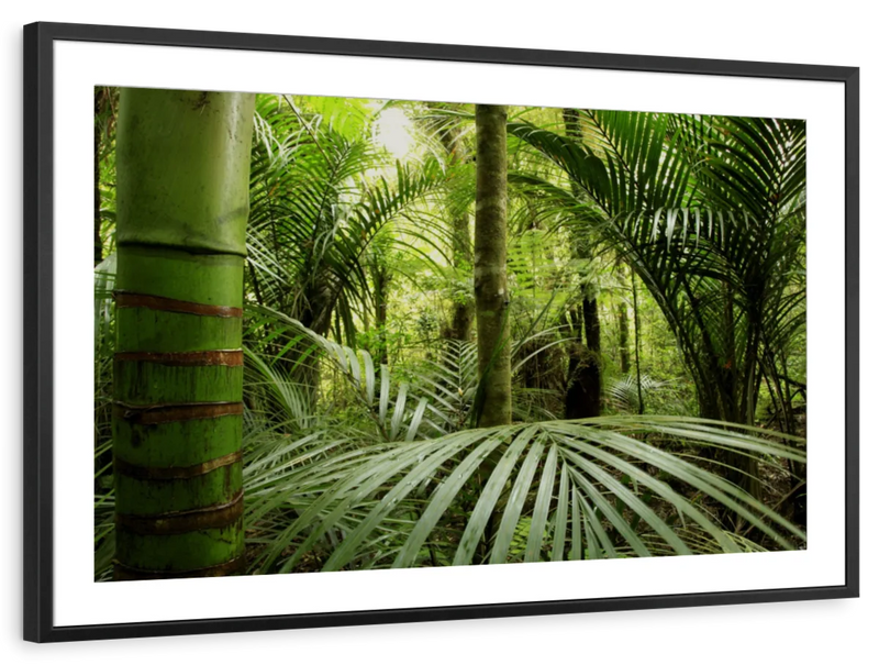 Into The Jungle Wall Art