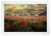 Scandinavian Poppy Field Wall Art