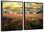 Scandinavian Poppy Field Wall Art