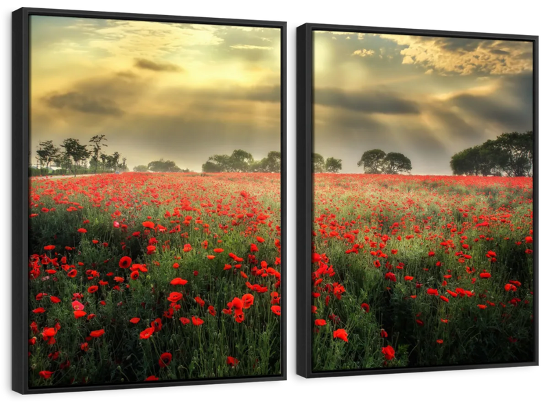 Scandinavian Poppy Field Wall Art
