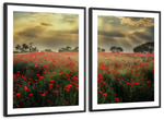 Scandinavian Poppy Field Wall Art