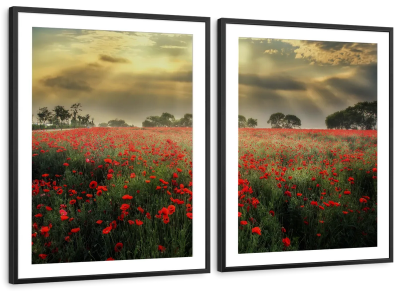 Scandinavian Poppy Field Wall Art