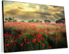 Scandinavian Poppy Field Wall Art