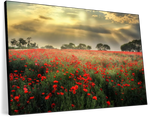 Scandinavian Poppy Field Wall Art