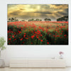 Scandinavian Poppy Field Wall Art