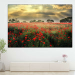 Scandinavian Poppy Field Wall Art