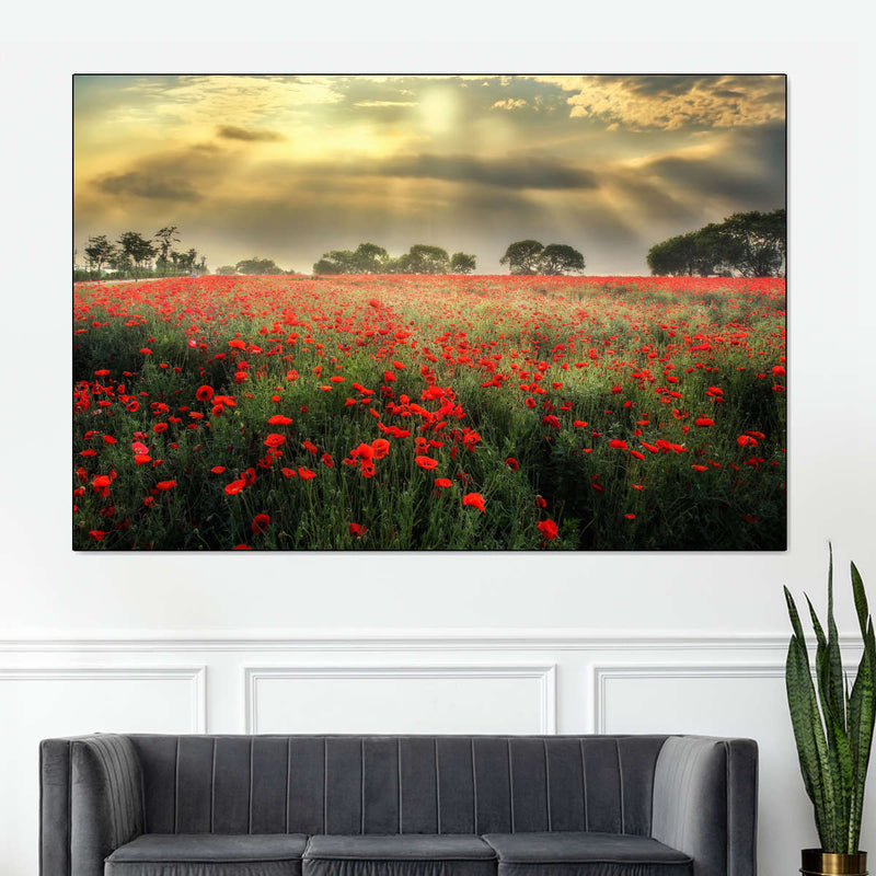 Scandinavian Poppy Field Wall Art