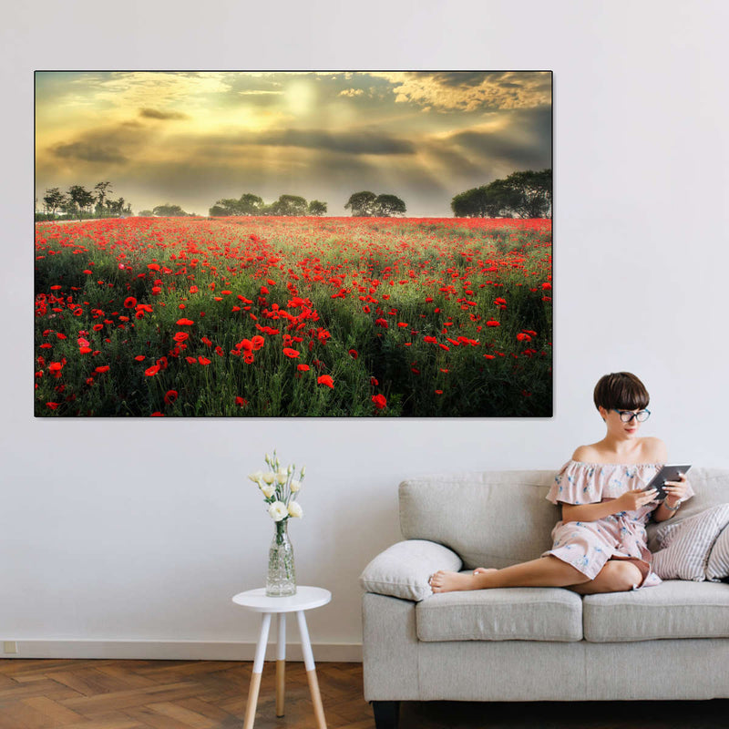 Scandinavian Poppy Field Wall Art