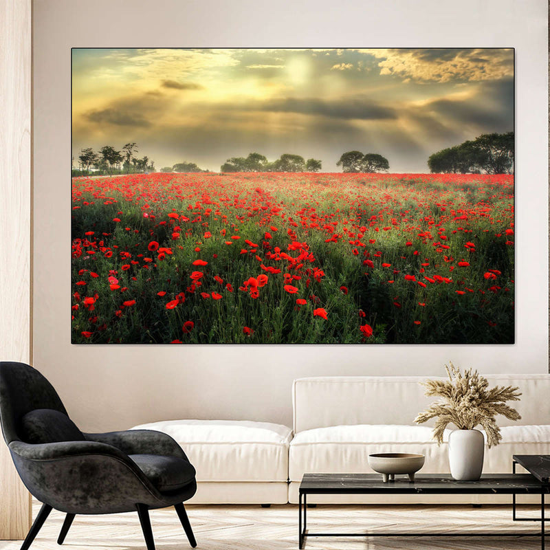 Scandinavian Poppy Field Wall Art