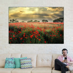 Scandinavian Poppy Field Wall Art