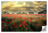 Scandinavian Poppy Field Wall Art