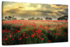 Scandinavian Poppy Field Wall Art