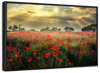 Scandinavian Poppy Field Wall Art