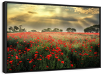 Scandinavian Poppy Field Wall Art