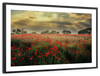 Scandinavian Poppy Field Wall Art