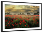 Scandinavian Poppy Field Wall Art