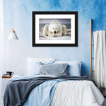 Yoga Polar Bear Wall Art