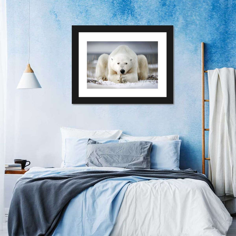 Yoga Polar Bear Wall Art