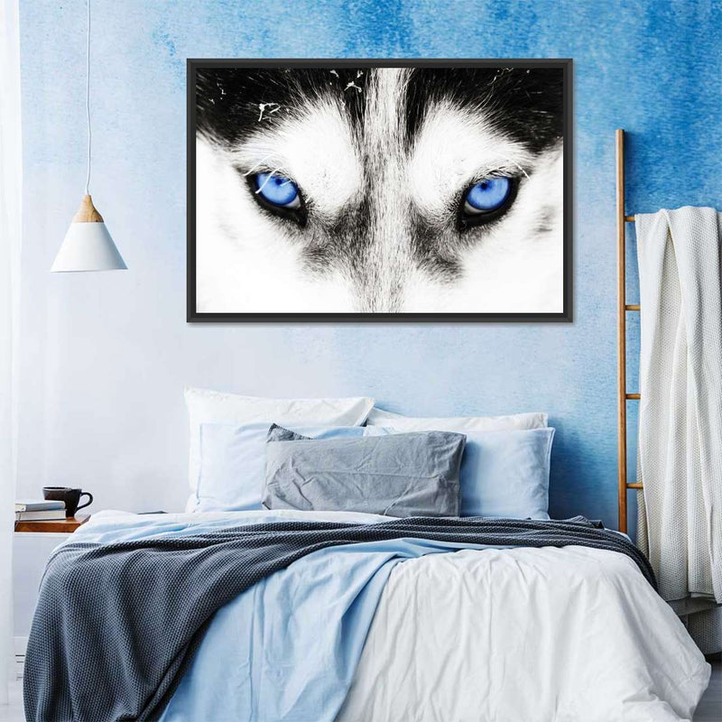 Husky's Eyes Wall Art