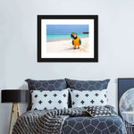 Parrot On Summer Day Wall Art