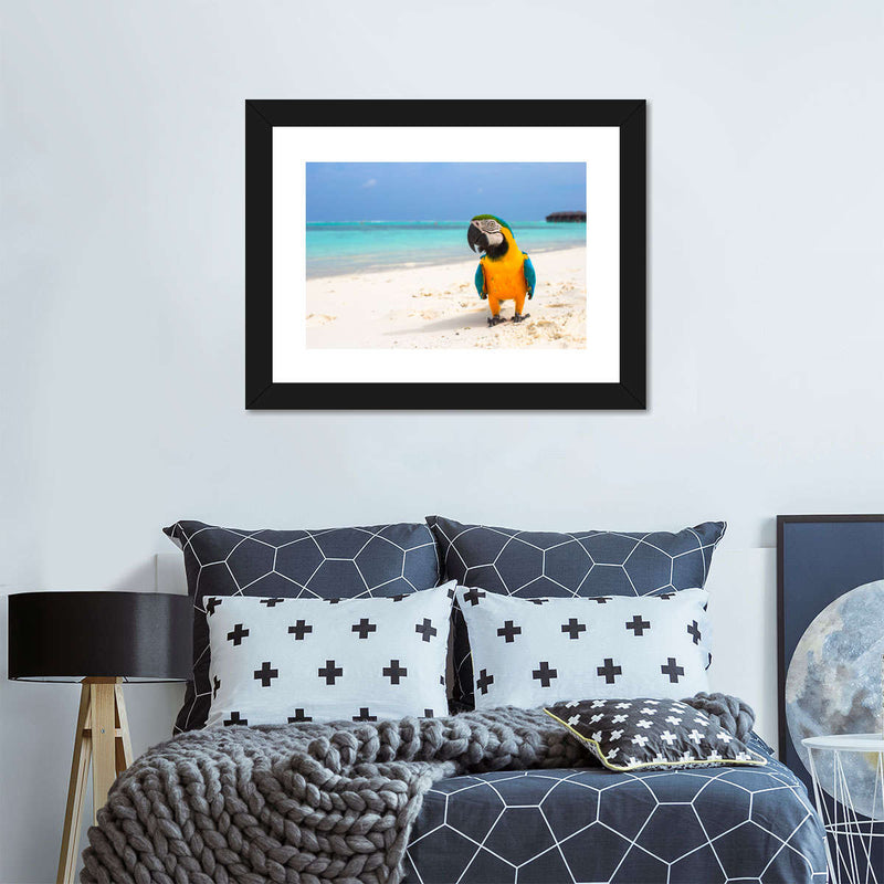 Parrot On Summer Day Wall Art