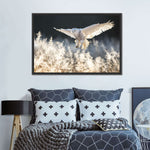 Snowy Owl Hunt Wall Art