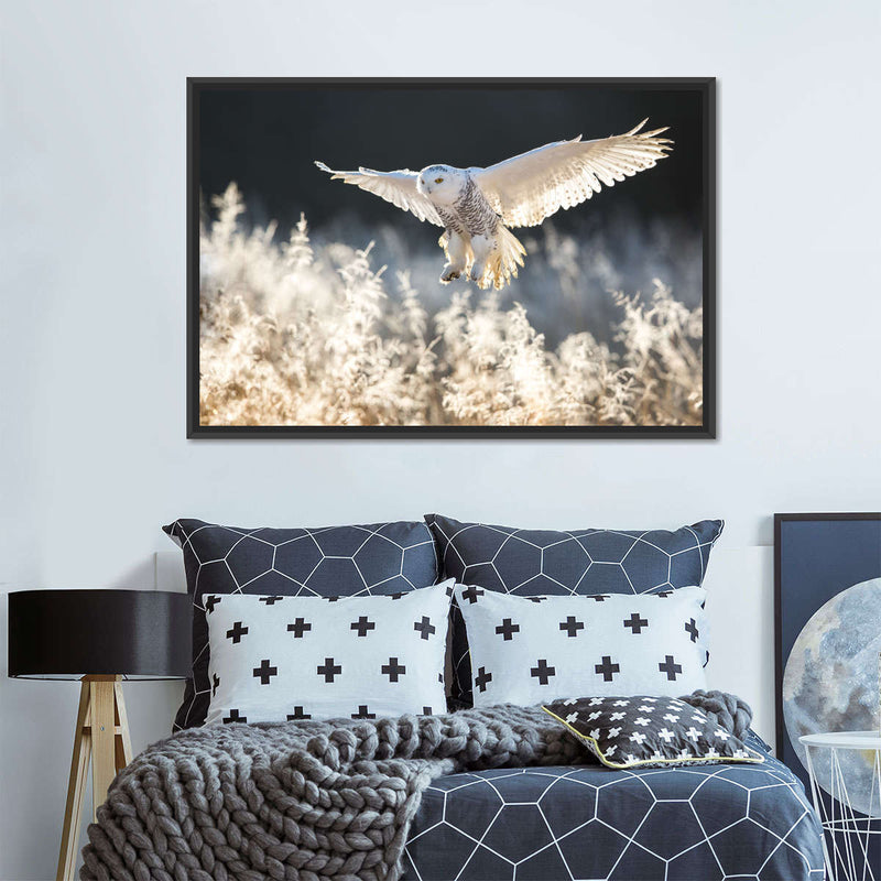 Snowy Owl Hunt Wall Art