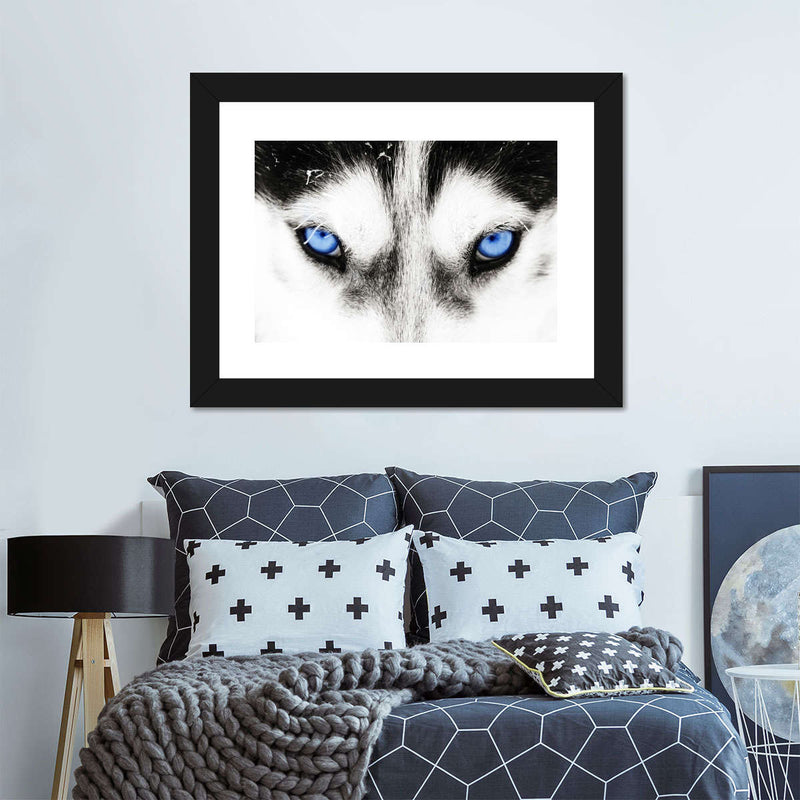 Husky's Eyes Wall Art
