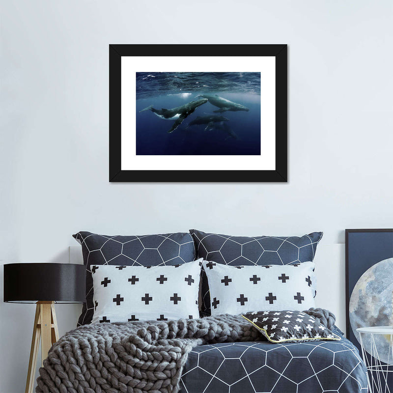 Humpback Whales Wall Art