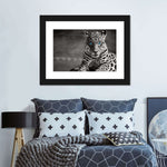 Jaguar Eyes Pop Wall Art