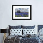 Texas Bluebonnets Wall Art
